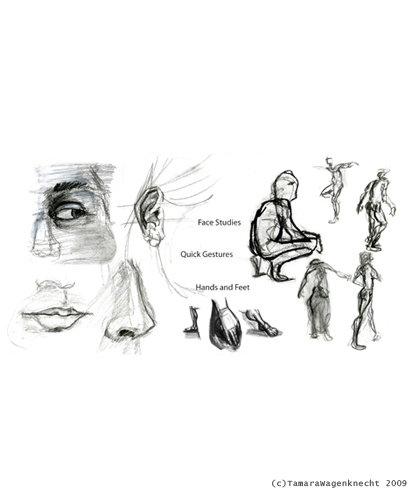 Pg9|2007|Pencil, Charcoal and Paper|Facial studies, hand and feet studies, and quick gestures.