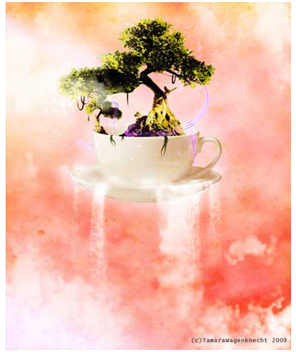 Teacup|2009|Photoshop|Created this as a gift to some good friends.  I also wanted to practice my photomanipulation skillz!